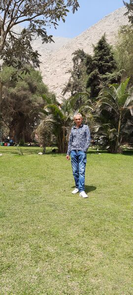  ,   , 55 ,   , c , 