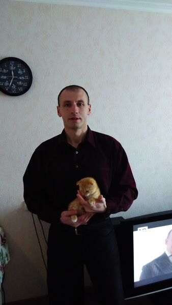  ,   Sengio, 39 ,     , c 