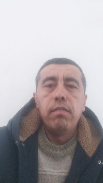  -,   , 41 ,   ,   