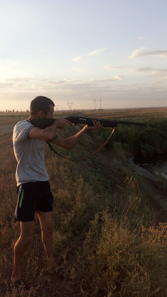  ,   ϸ, 35 ,     , c 