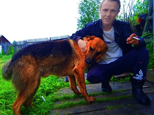  -,   Viktor, 25 ,   ,   , 