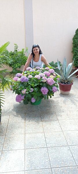  ,   , 42 ,   c 