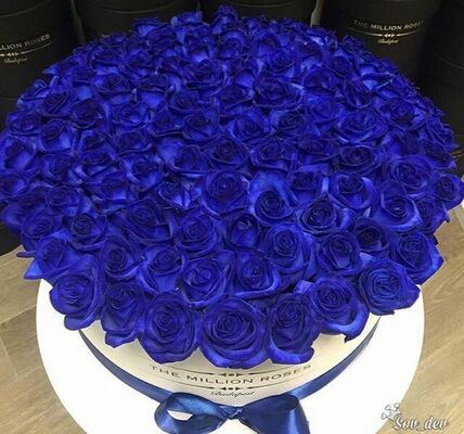  -,   , 25 ,     , c , 