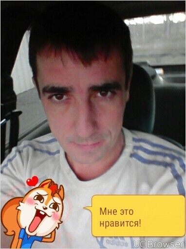  8653322  , 36 ,    