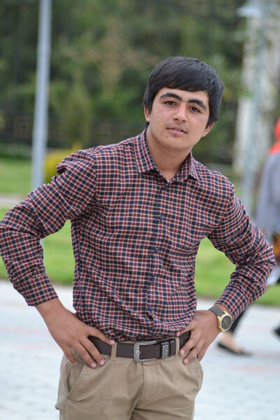  ,   Daler, 31 ,   ,   , c 