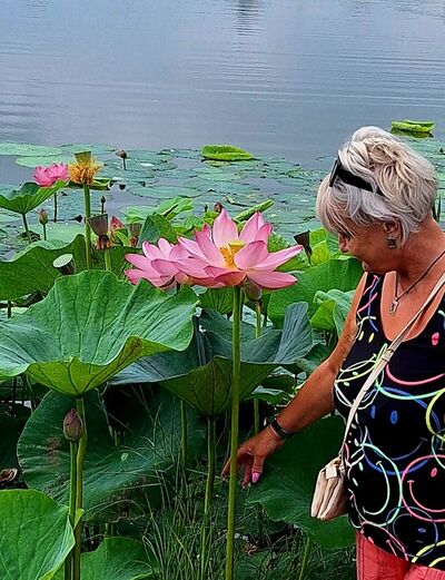  ,   , 61 ,     , c , 