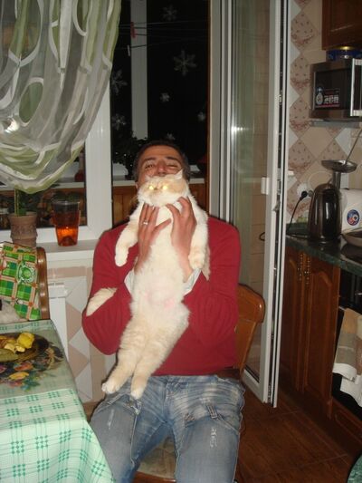  ,   Kostal, 45 ,   