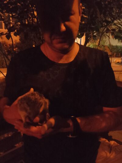  ,   , 40 ,   ,   , c , 