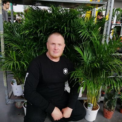  Gliwice,   Volodymyr, 53 ,   