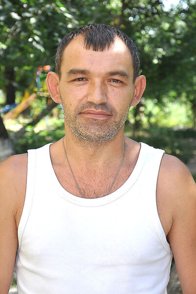  ,   , 53 ,  