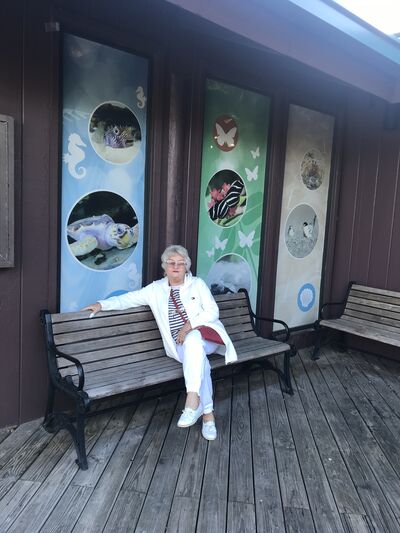  ,   , 68 ,   ,   