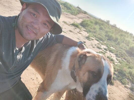  ,   Elvg, 37 ,   ,   