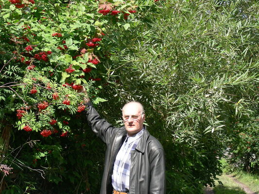  ,   Igor, 72 ,   