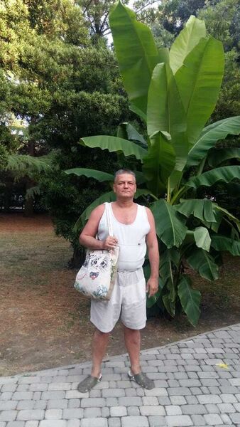  ,   , 51 ,   ,   