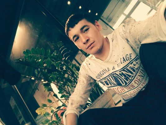   ,   Ulmasjon, 31 ,   ,   
