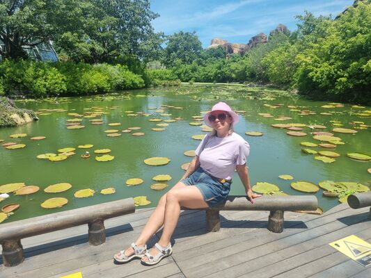  -,   , 48 ,   ,   , c , 