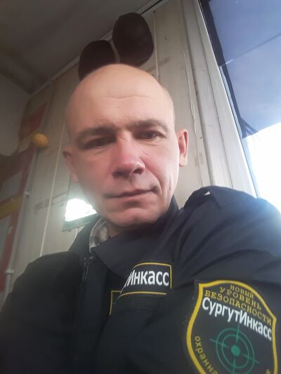 -,   Wolf, 41 ,   ,   , c 