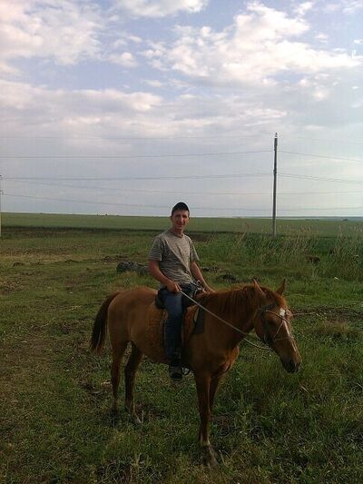 ,   , 37 ,     , c , 