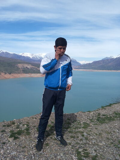  ,   Wolf 9926355, 40 ,     , c 