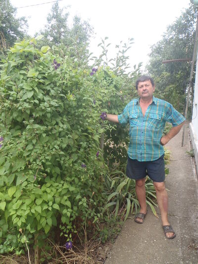  ,   , 63 ,   ,   , c 