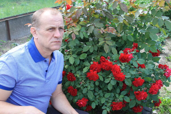  ,   , 59 ,   ,   