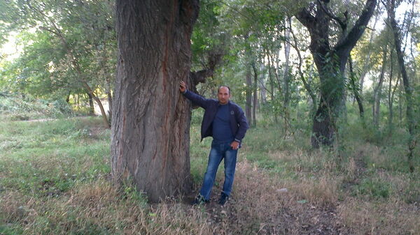  ,   Ramin, 45 ,  