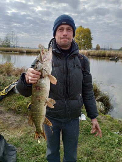  ,   Roman, 45 ,   ,   , 