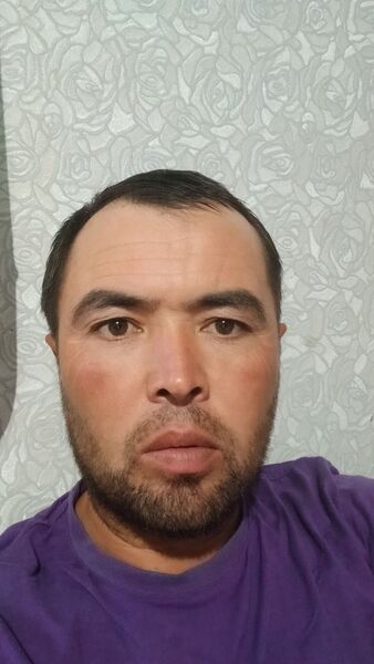 -,   , 41 ,     