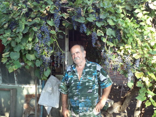  ,   , 74 ,   ,   , c 