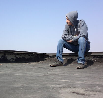  ,   VeKtoR, 33 ,   
