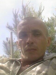  ,   Dimon, 40 ,  