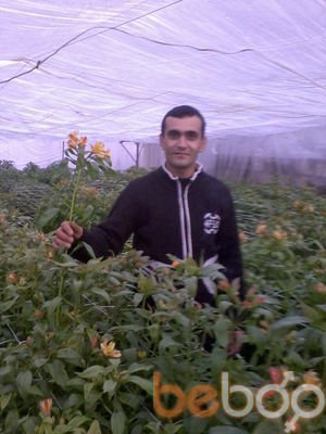  ,   SSSS, 43 ,   ,   , c 