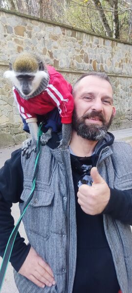   ,   , 51 ,   ,   , c , 