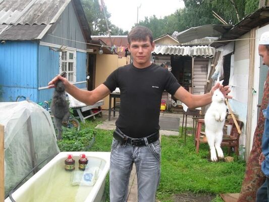   ,   , 39 ,  
