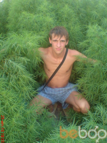   ,   Tarasik, 33 ,     , c 