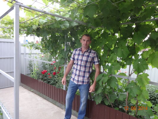  --,   , 45 ,   ,   , c 