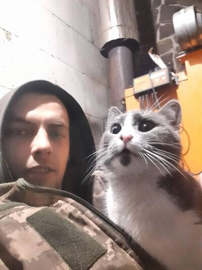  ,   , 29 ,     , c , 