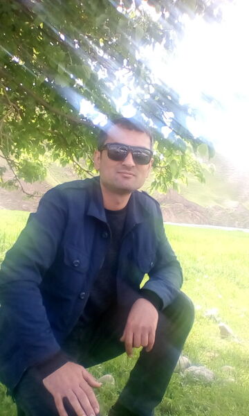 ,   Zoir, 41 ,     , c , 