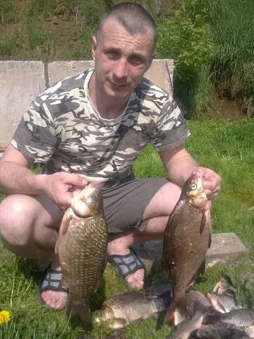 ���������� ��������, ���� ������� ����, 43 ����, ������������ ��� ������, ����� � ���������, ���������