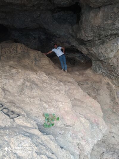  ,   Ariz, 34 ,   ,   