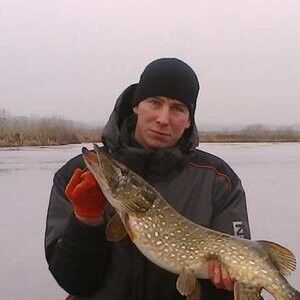  ,   Max, 38 ,     , c 