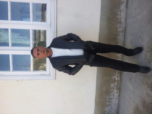  ,   Tolip, 55 ,   ,   , c 