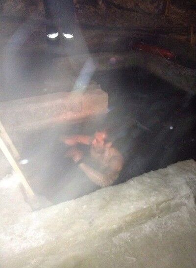 ���������� ���������, ���� ������� ������, 43 ����, ������������ ��� ������, ���������