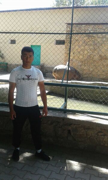  ,   Elbek, 32 ,   ,   , c 