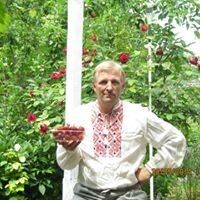   ,   Vladimir, 50 ,   ,   , c 