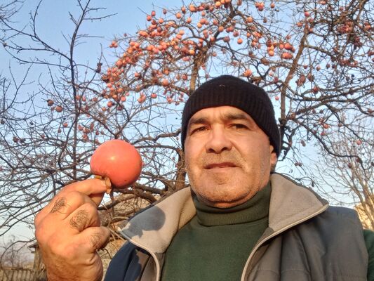  ,   Nurik, 59 ,   ,   , c 