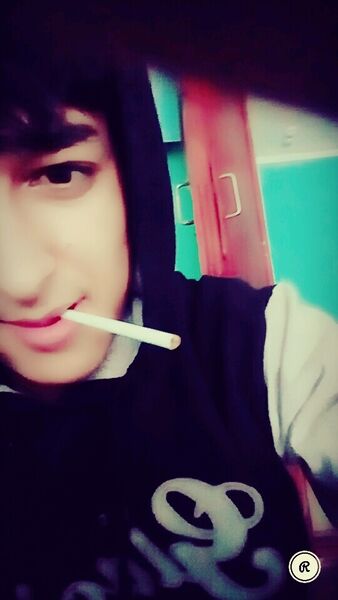  ,   Zahar, 27 ,   ,   