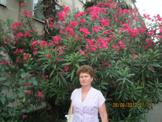  ,   , 65 ,     , c 