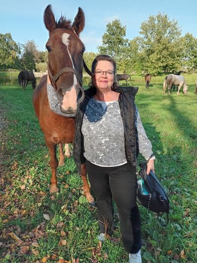  ,   Regi, 52 ,     , c 