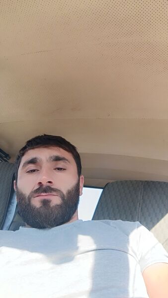  ,   Perch, 31 ,   ,   